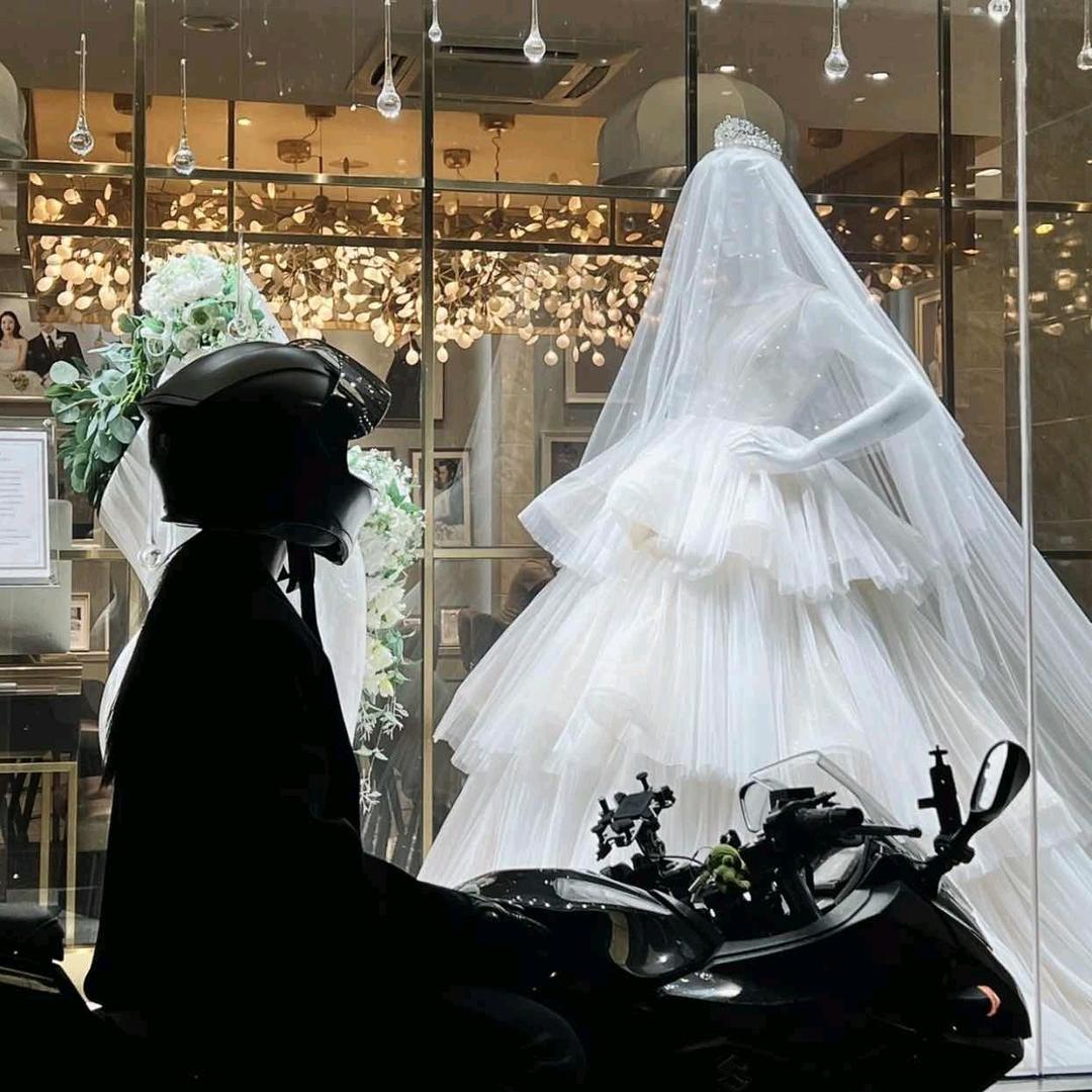 疾风与她皆是梦