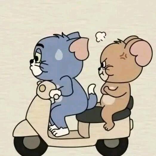 🏗ঞ꯭洋芋切丝丝