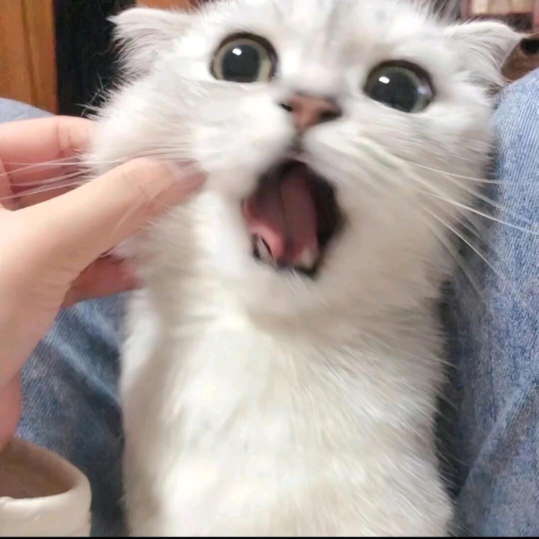 略略略略略略略