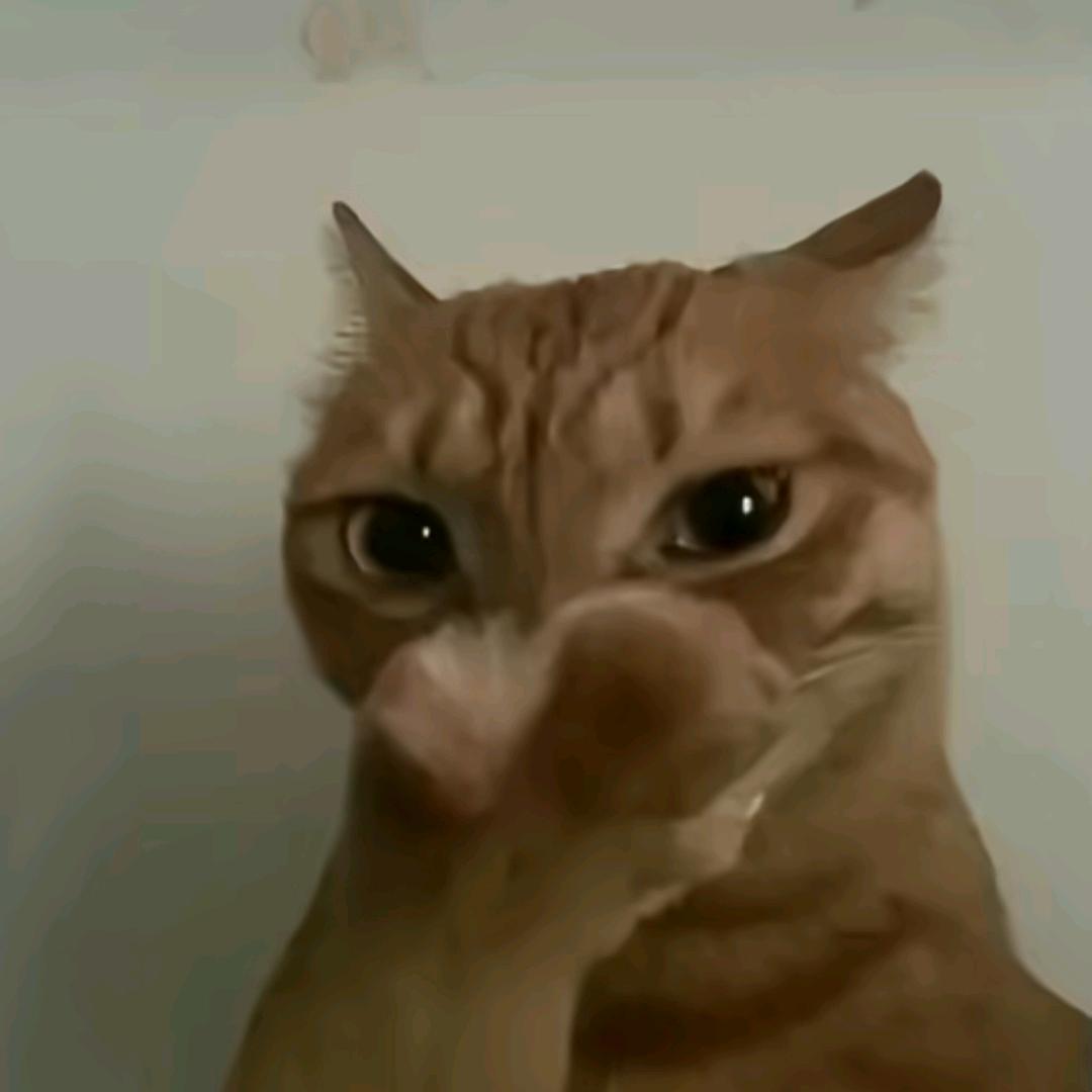 醒醒