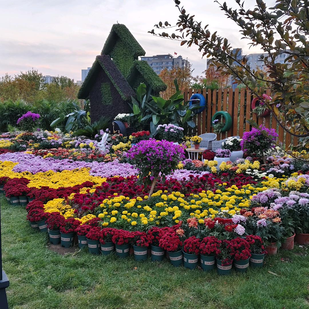 手机用户66936730552