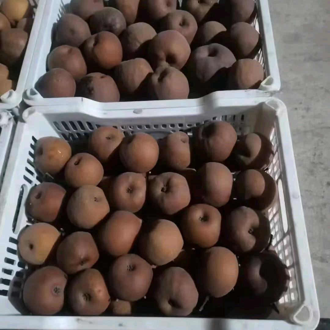大庙香水梨四季卖