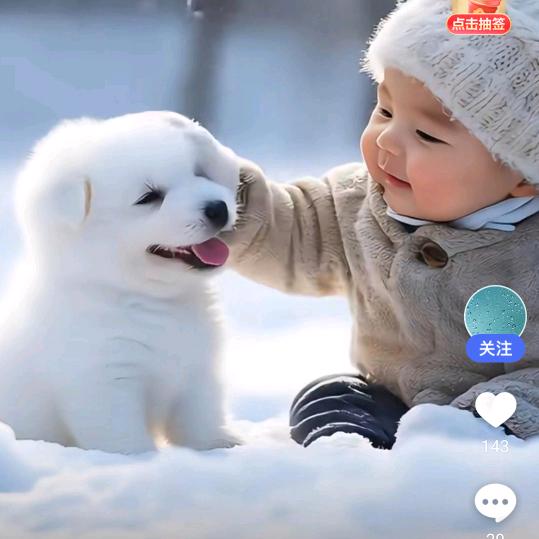 喜宝