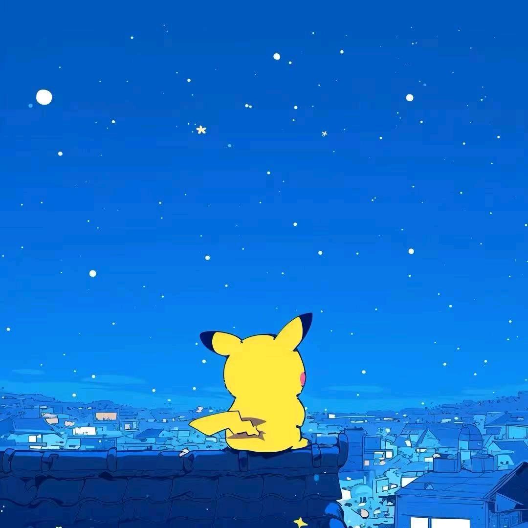 全国顺风车独享