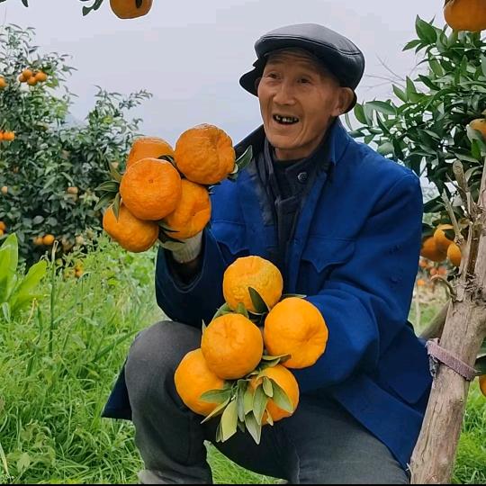 奉节芳子