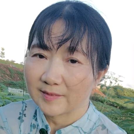 阿莲（好歌舞）