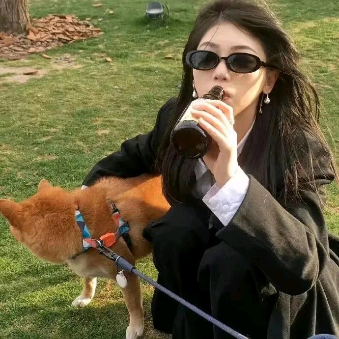 红色的奶牛猫