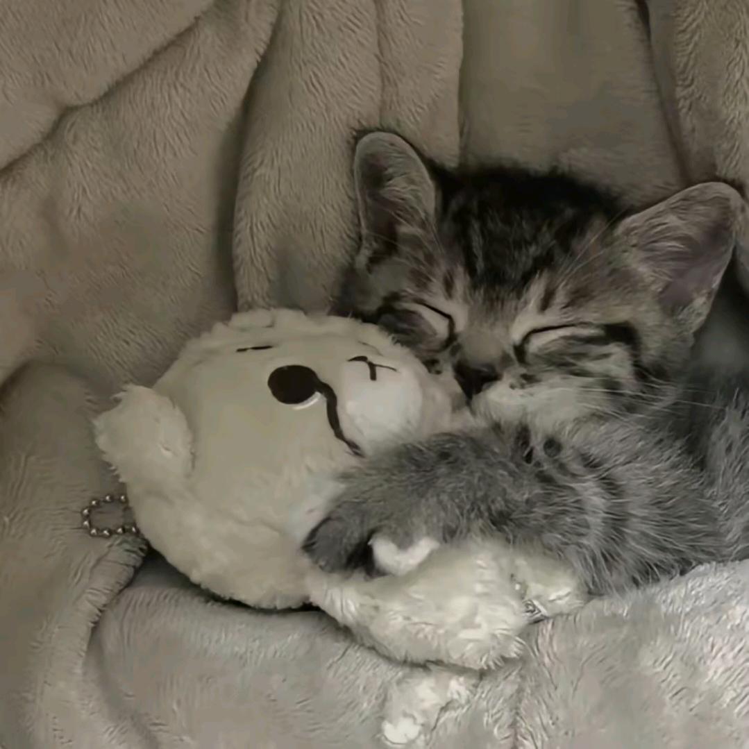 Z'zz.