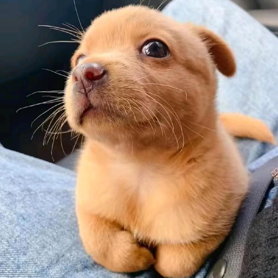 霍    愛    輝   🙈