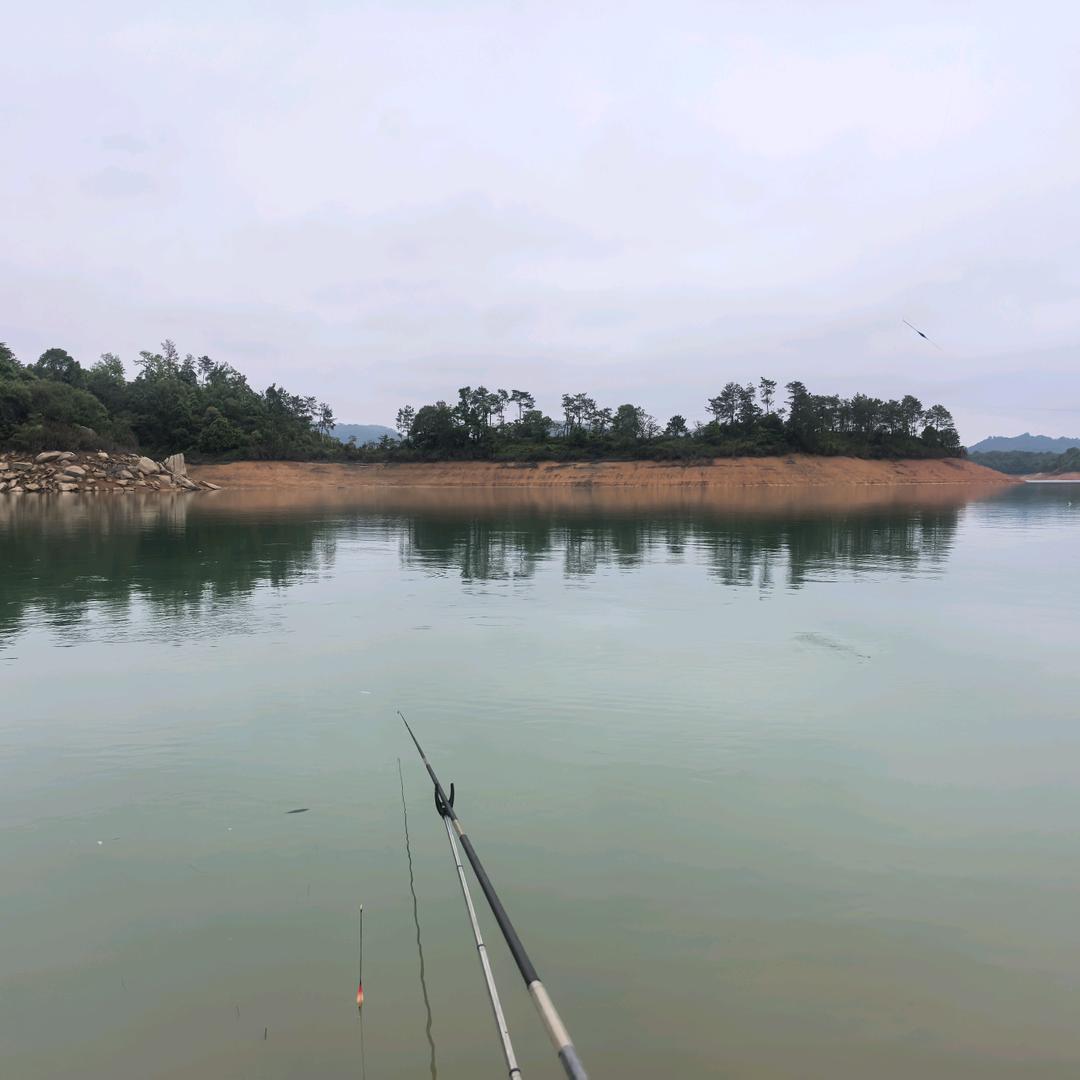 老黎（记录钓鱼）