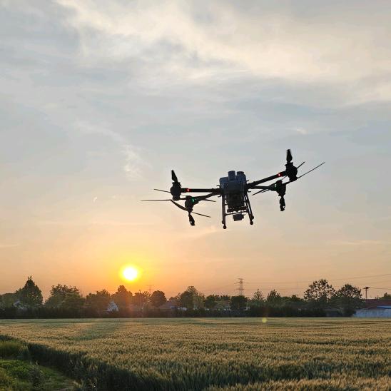 村东头那个小伙