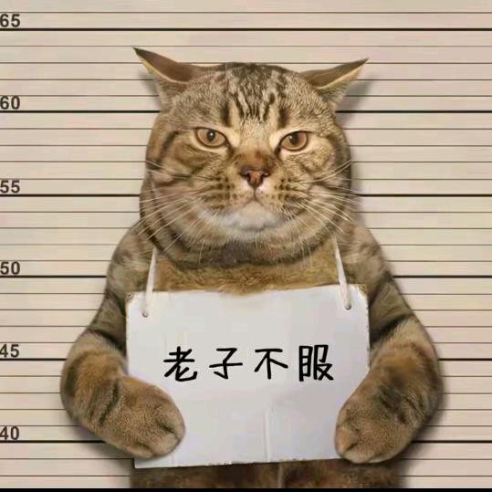 爱慕未停