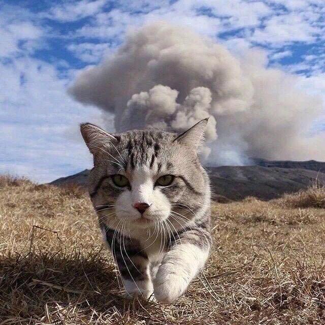 广咩咩优选