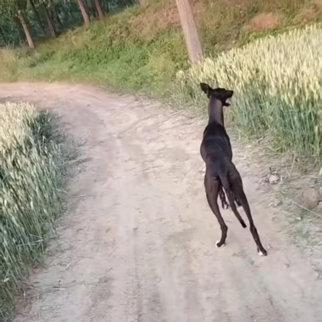 哇塞一哇塞