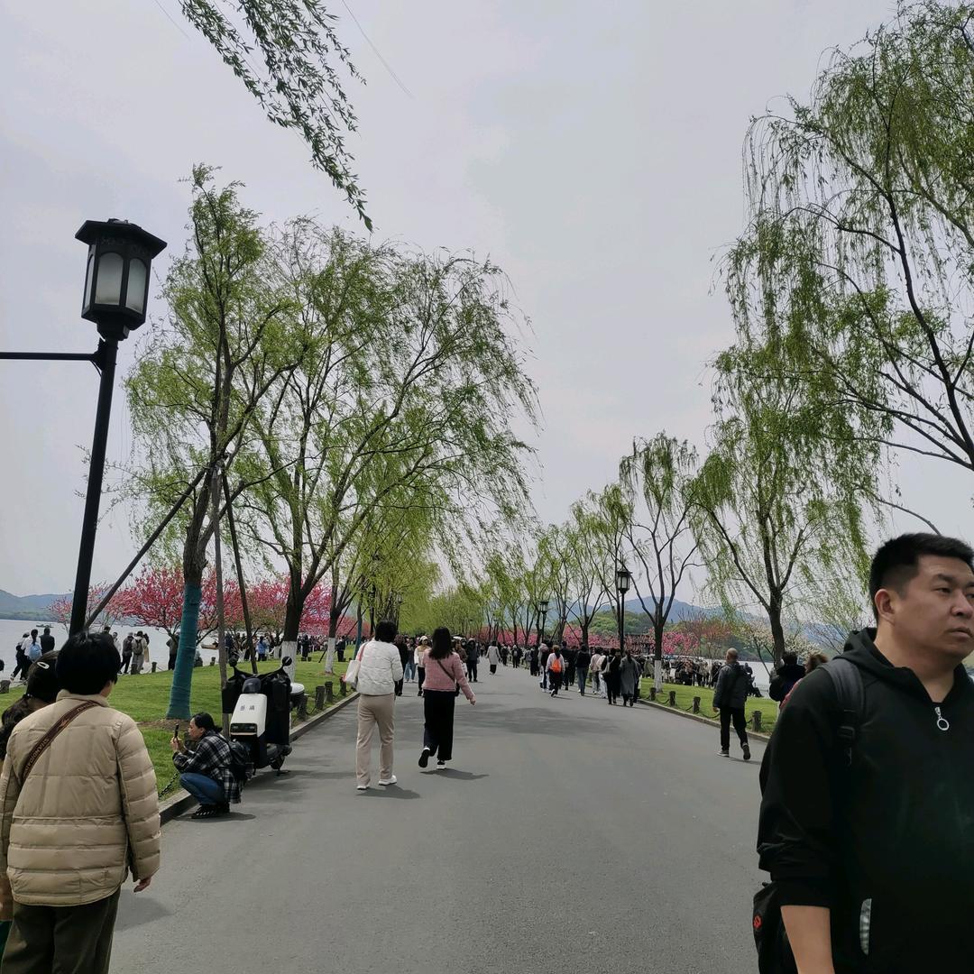 欣欣好物