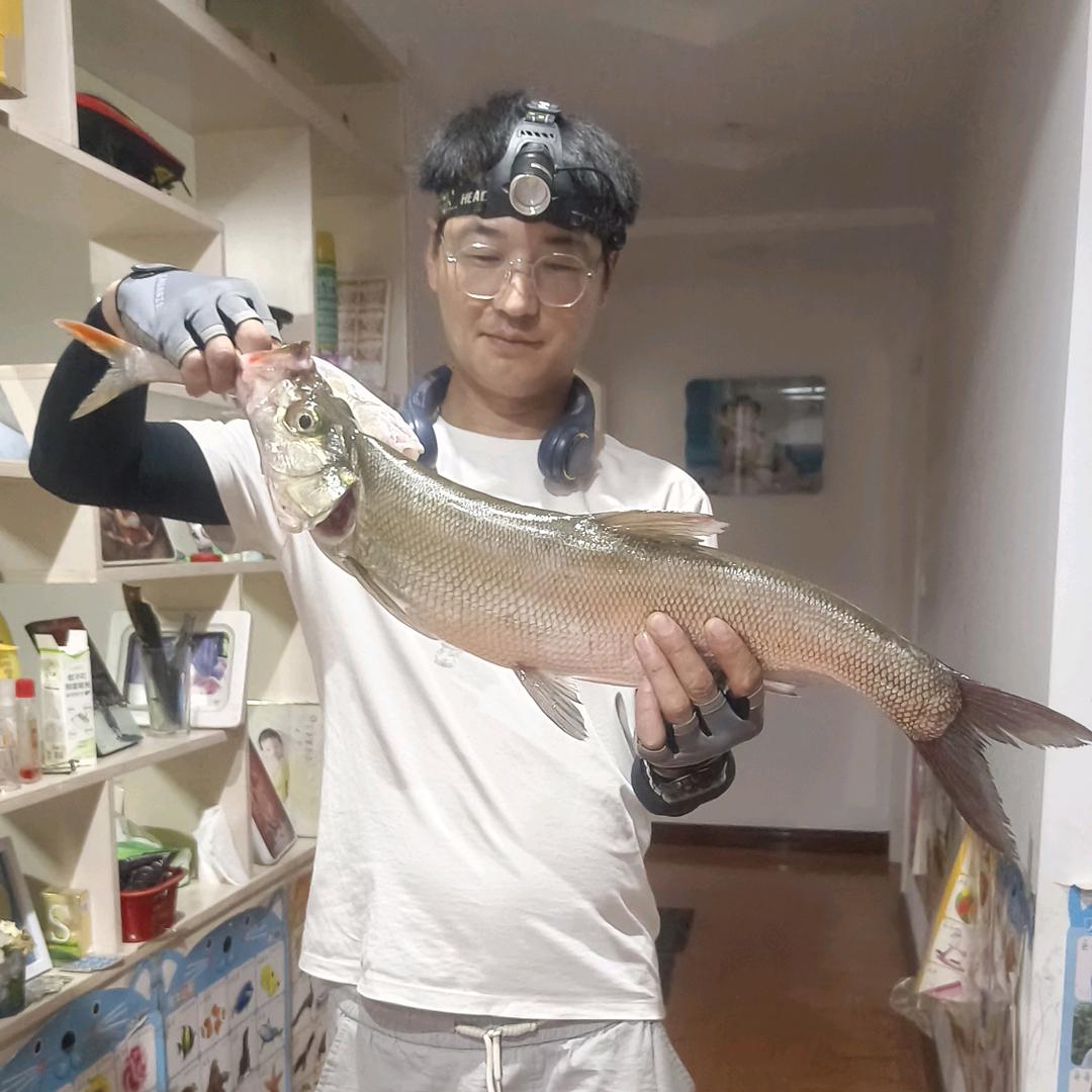 鳜在坚持.木子李