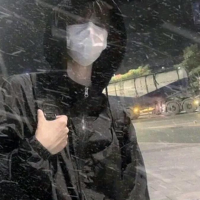 可可爱爱狸花猫