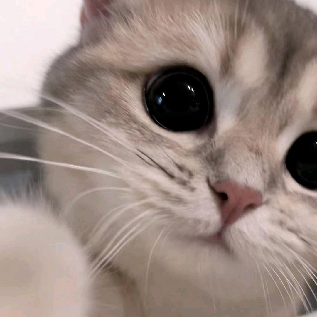 时梦