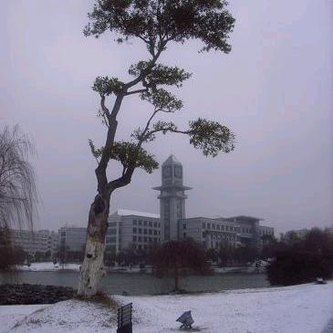 @初八
