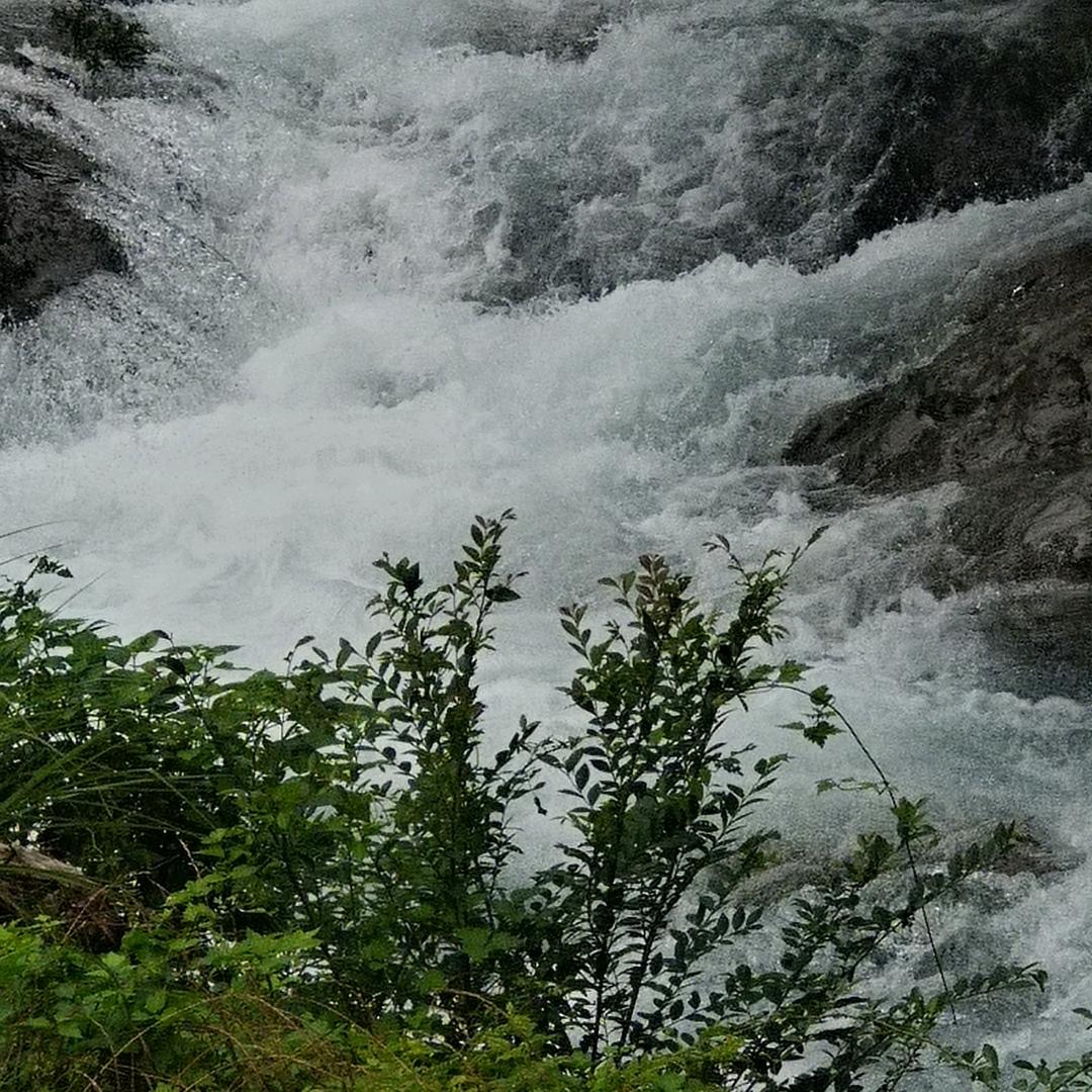 小鲫🐟
