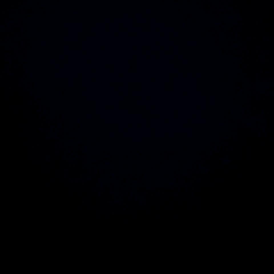 白天不懂夜的黑