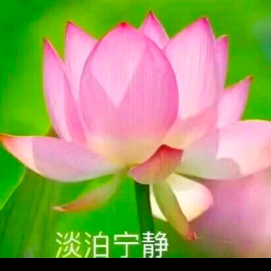 啊进