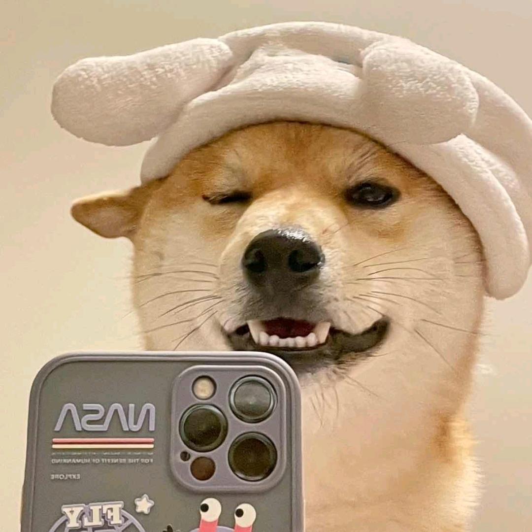 吊儿郎当好菇凉@