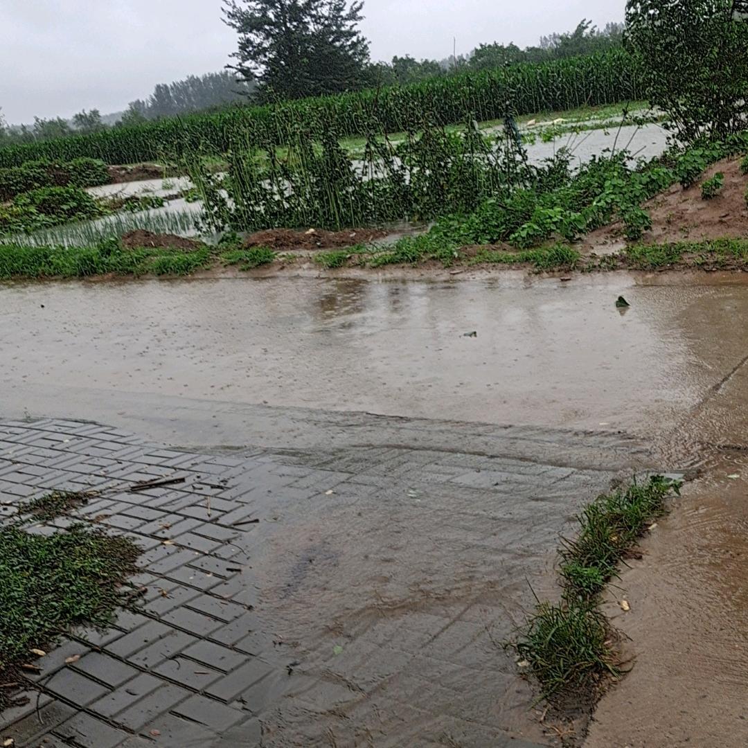 用户6277560658937开心果