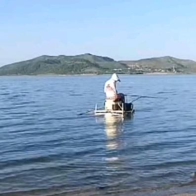 子非鱼安之渔之乐乎