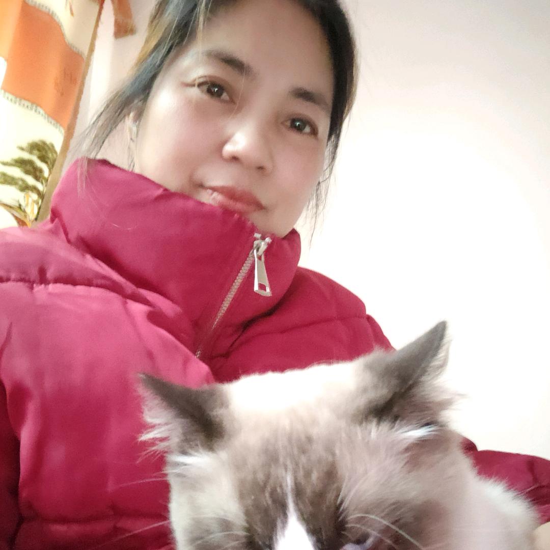 可心