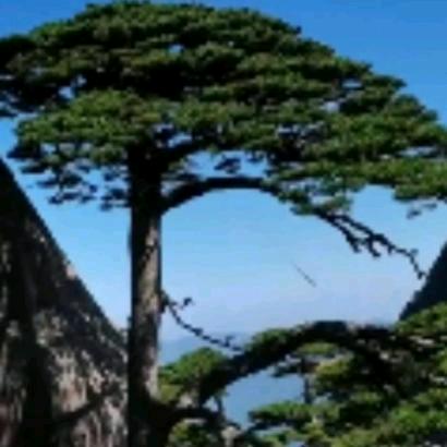 岁月如金