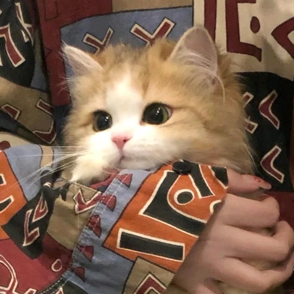 周日没有发条（见过黄子版）