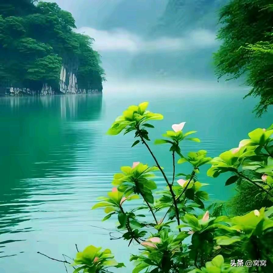 来宾百货好物购