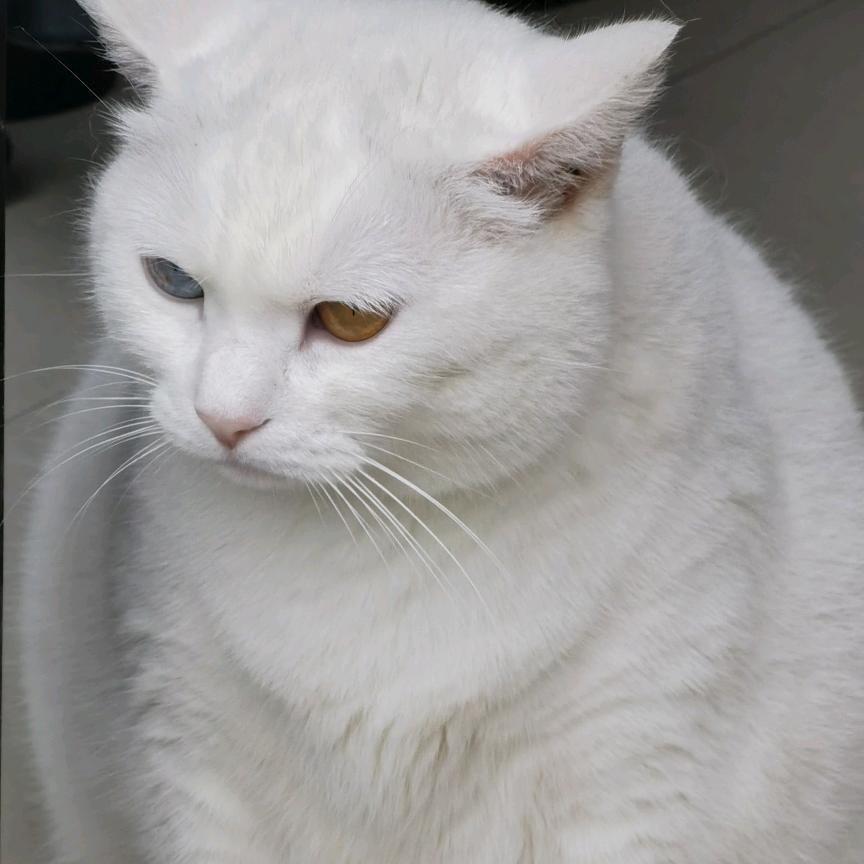 🐇友友甄选🐇