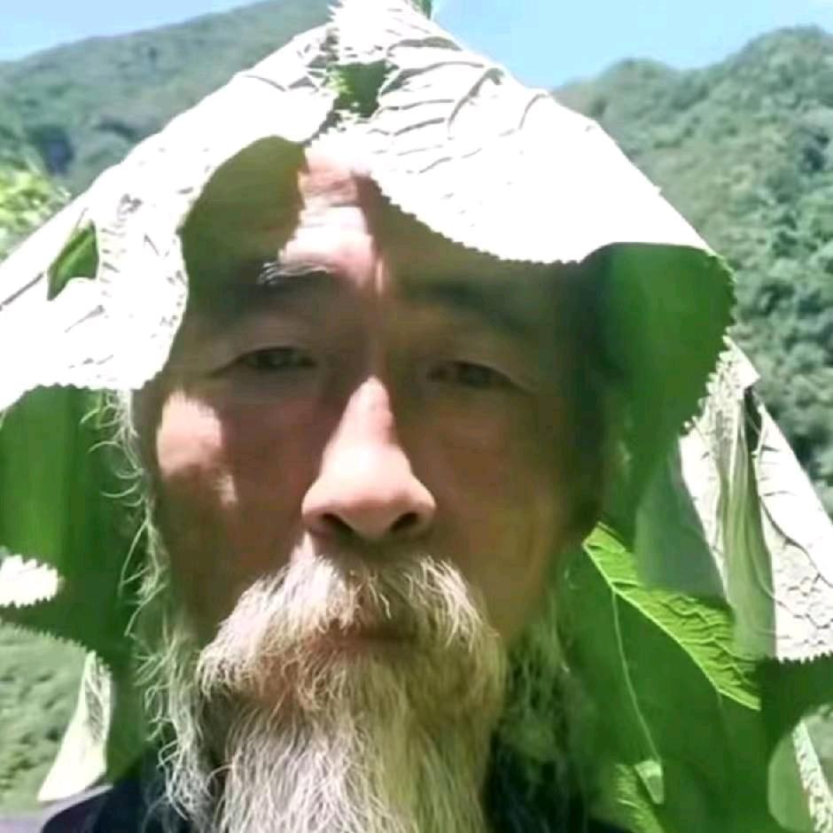 人生百态