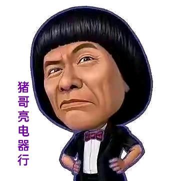 猪哥亮电器行