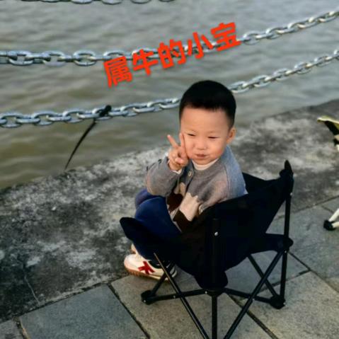 家有牛马（教辅文具）