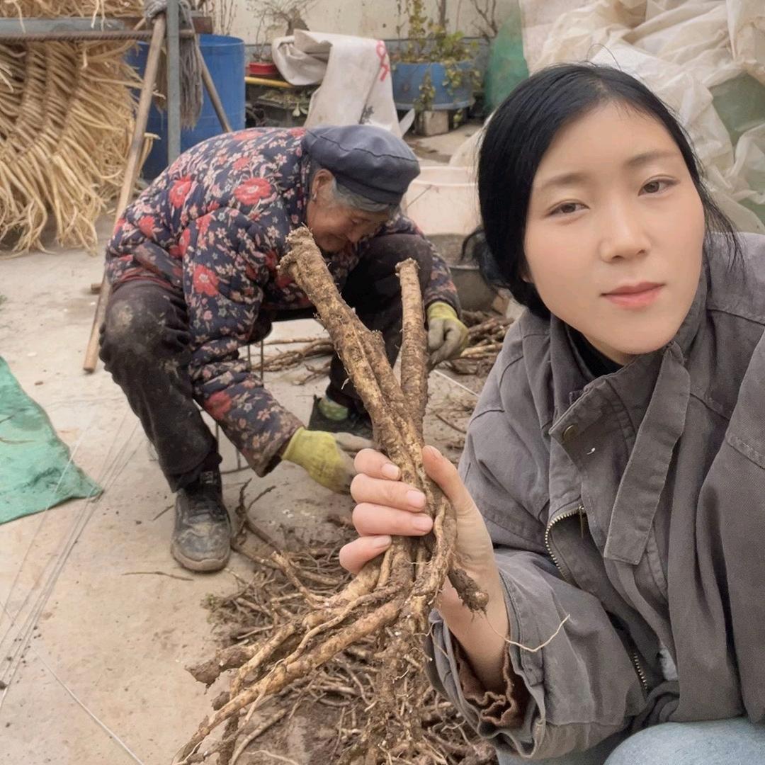 西北高原山货臻选
