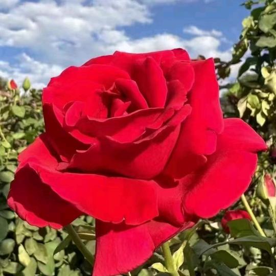 昆明力航食品有限公司