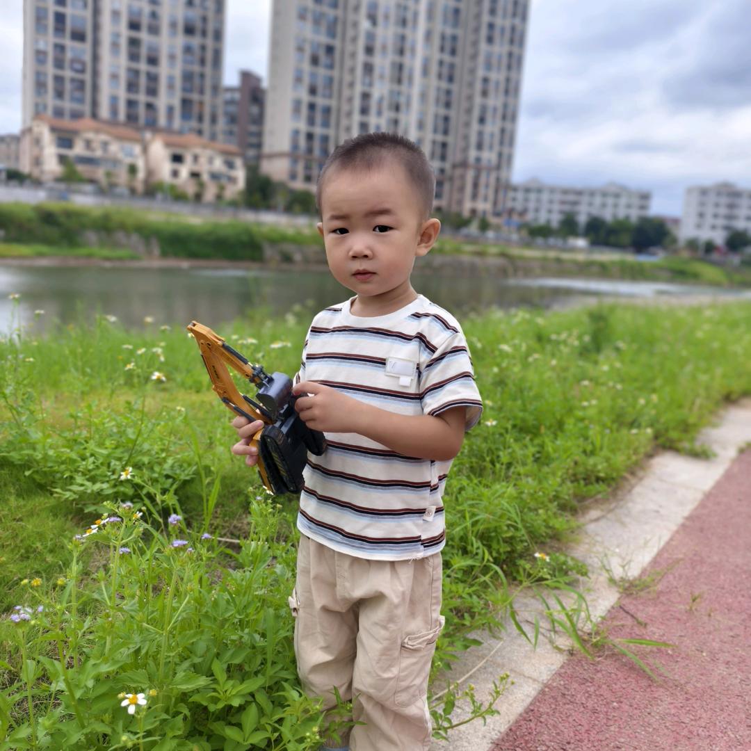 🌾豫西麦田🌈