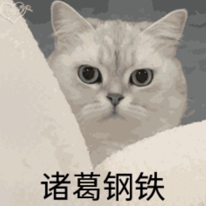 清宇