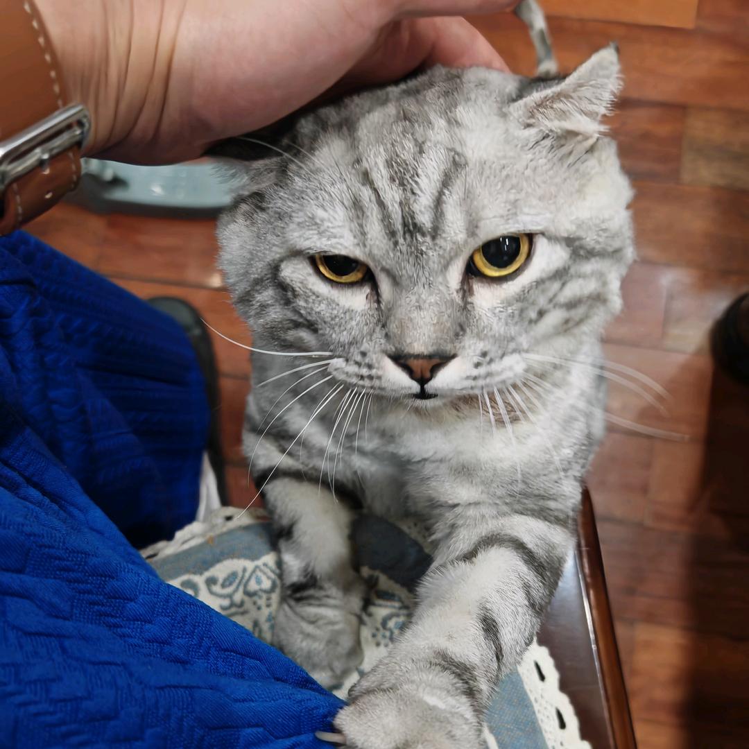 青春花样美少男