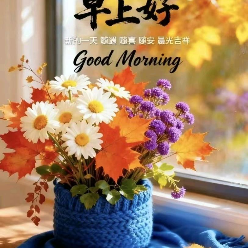 靳浩阿平县网红跨境网红画手网红