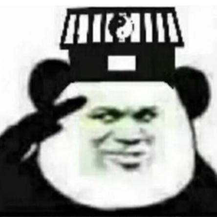 柴柴