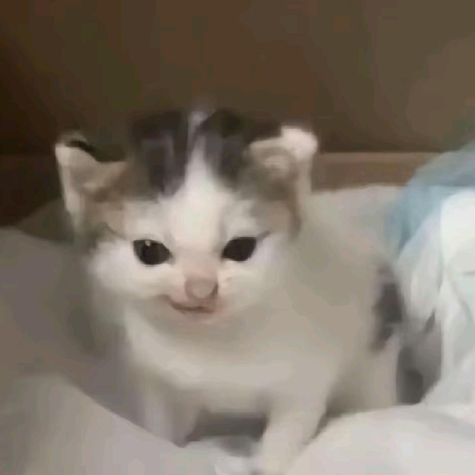 看看