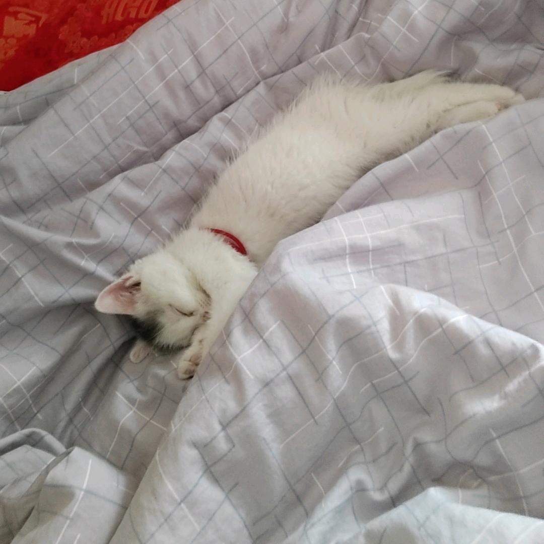 拧不开瓶   盖女士