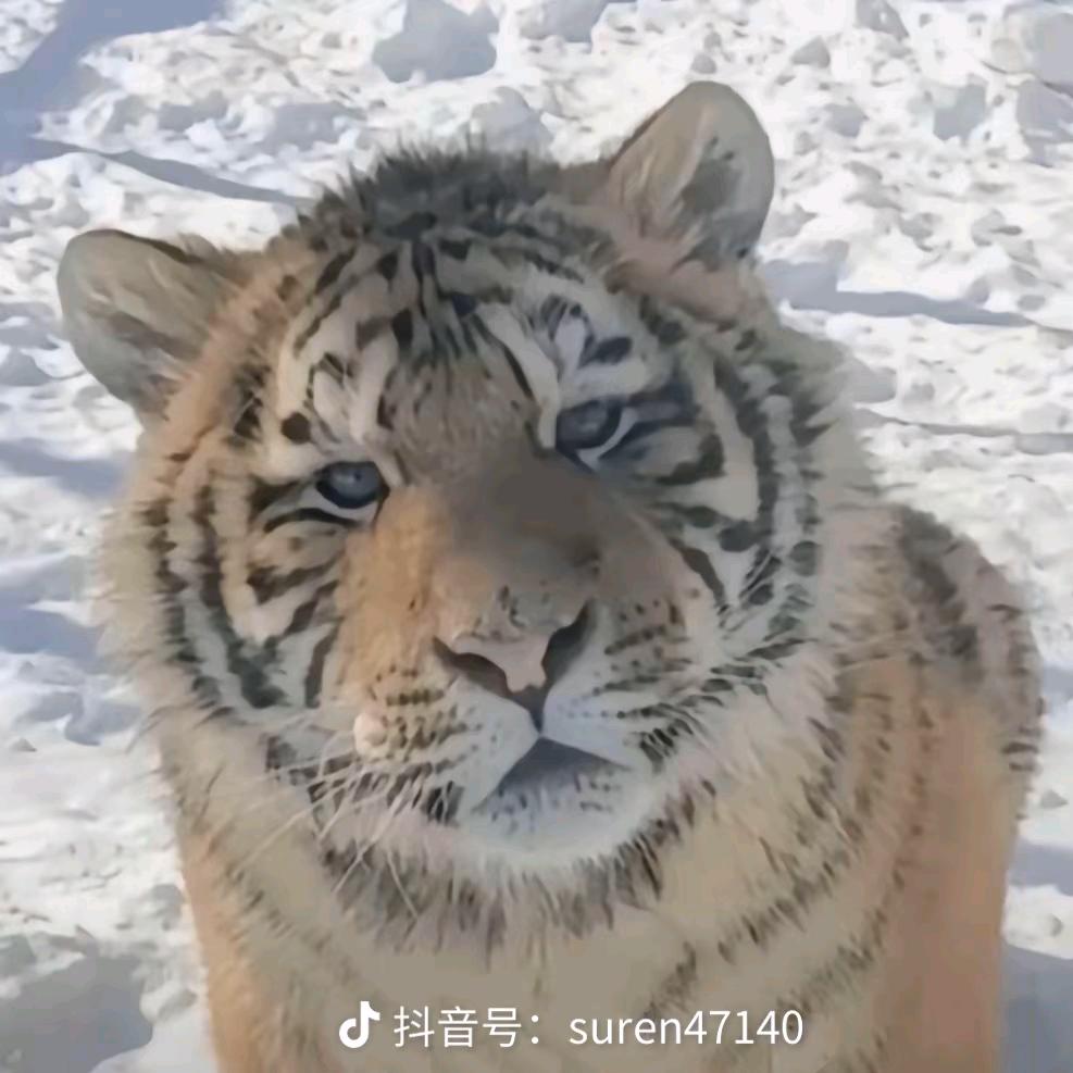 か随缘か（韩）