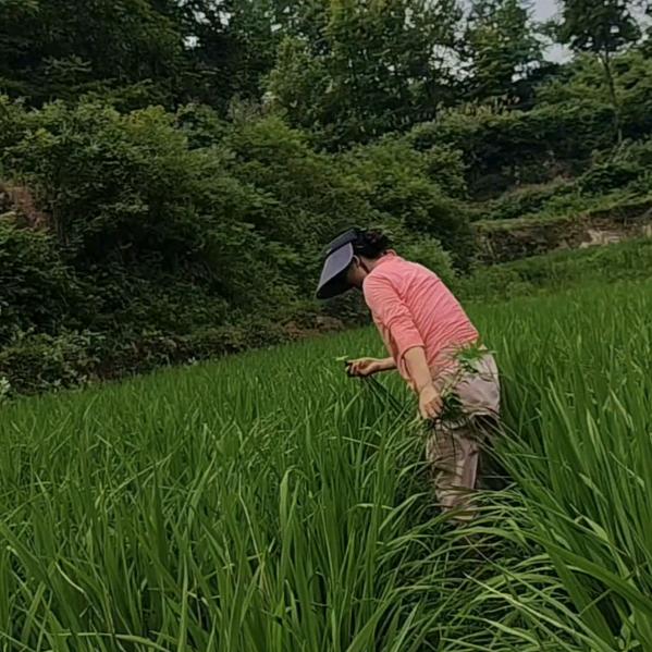 向小妞吖