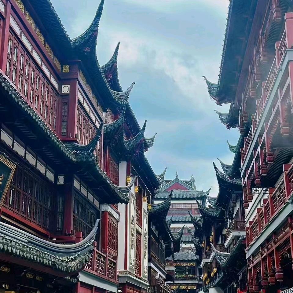 独燕单飞ʚ🦄ི་ྀɞ