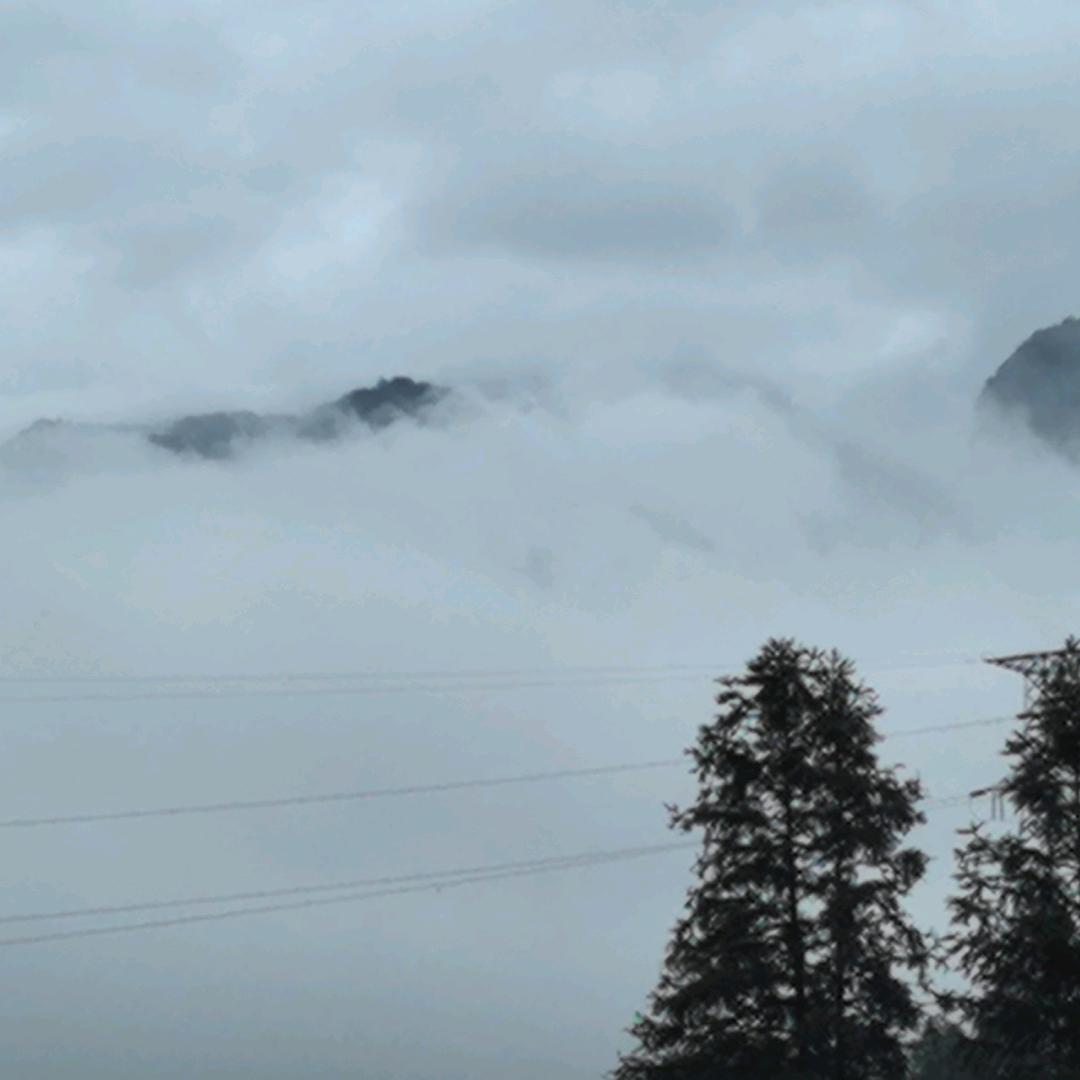 心衫陌影